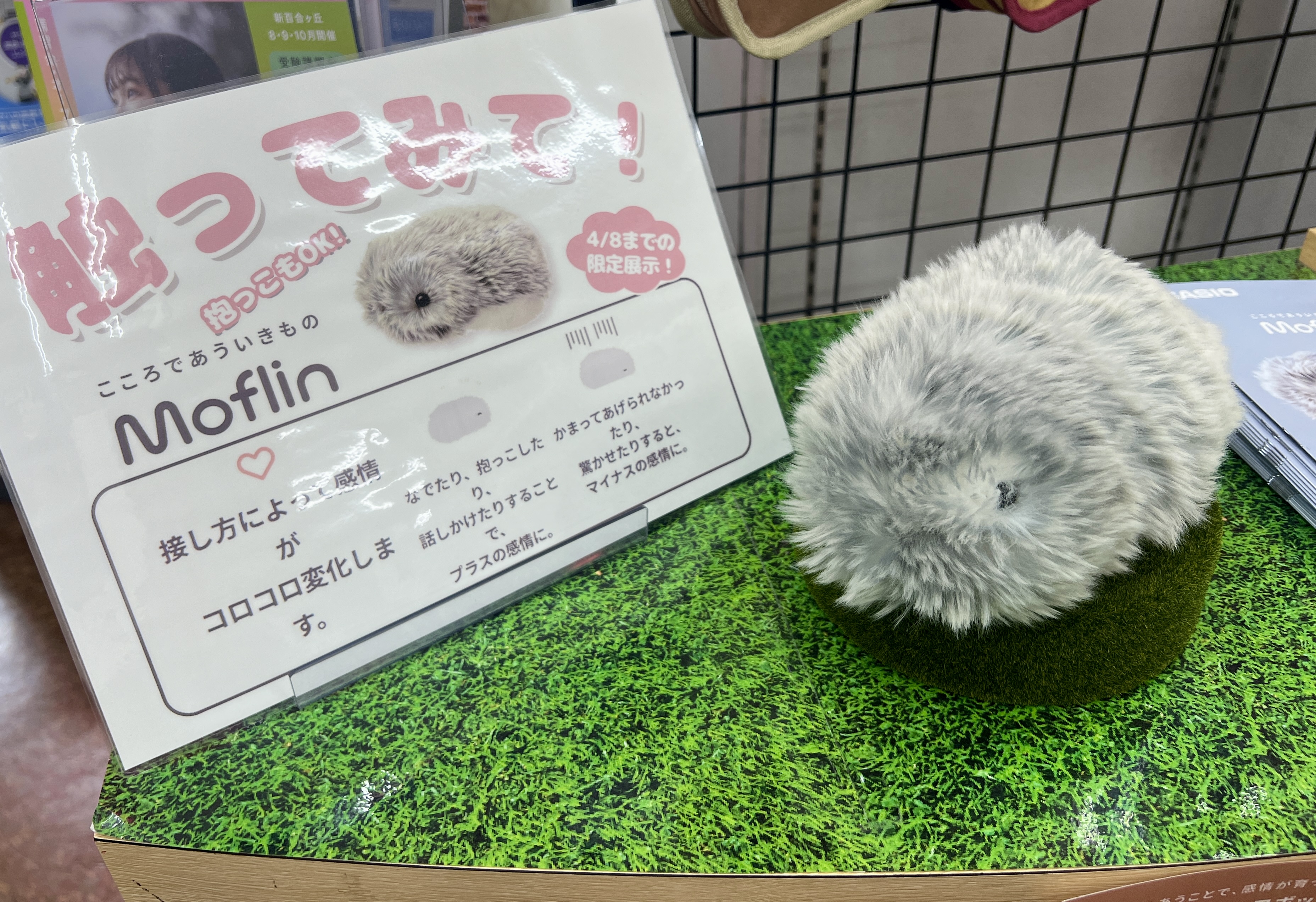赤羽センター】可愛いAIペットロボット“モフリン”がやってきました